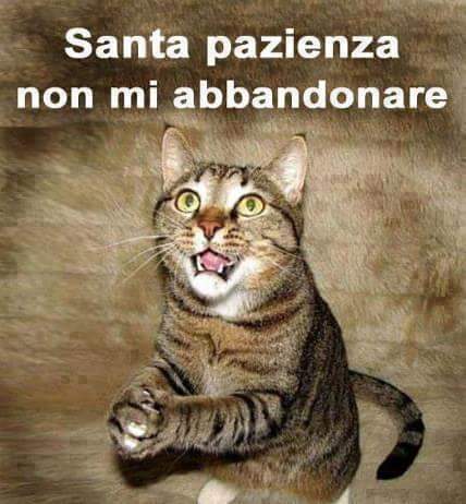 santa pazienza.jpg