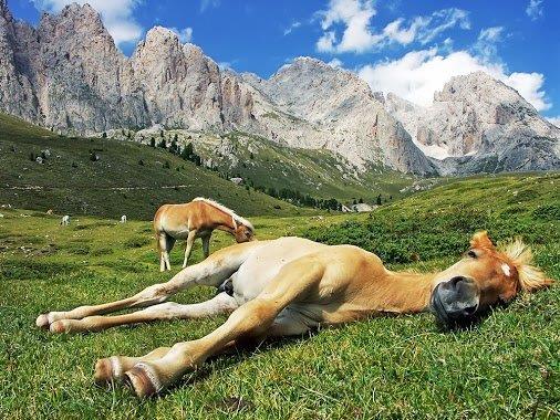 Val_Gardena_-_Dolomiti_-_Shutterstock-1.jpg